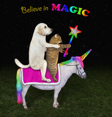 Wall Mural - A dog labrador and a beige cat with a magic wand ride an unicorn in the meadow. Believe in magic.