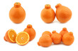 bunch of fresh minneola's on a white background