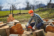 © Xalanx - Lumberjack with chainsaw working