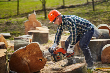 Wall Mural - Lumberjack with chainsaw working