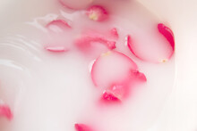 Pink Rose Petals In Moisturiser Hydro Milk Water. Wellness Healthcare Natural Ingredient Relaxing Spa For Healthy Skin Concept