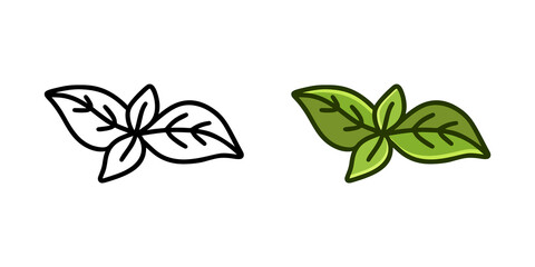 Fototapete - Basil leaves doodle icon. Linear and color version. Black simple illustration of fresh spice or green plant. Contour isolated vector pictogram on white background