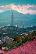 Sunrise landscape of beautiful cherry blossom with Taipei cityscape in spring, Taiwan
