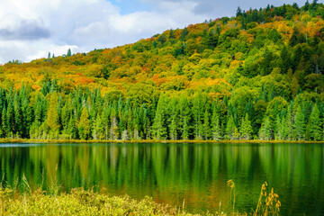 Wall Mural - Lauzon lake in Mont Tremblant National Park