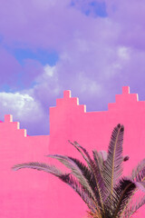 Wall Mural - Fashion tropical urban location. Pink Wall. Palm. Blue summer sky. Canary islands. Travel advertising banner wallpaper