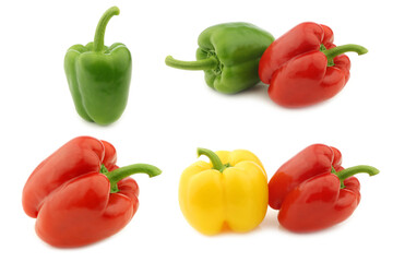 Wall Mural - colorful mix of paprika's (capsicum) on a white background