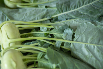 fresh green kohlrabi