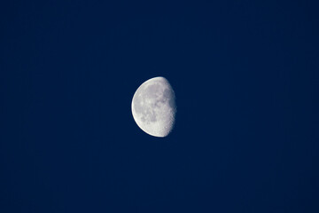 Wall Mural - waning moon in the early morning in april
