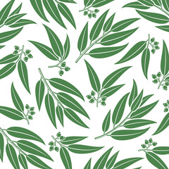 Wall Mural - Eucalyptus pattern background set. Collection icon eucalyptus. Vector