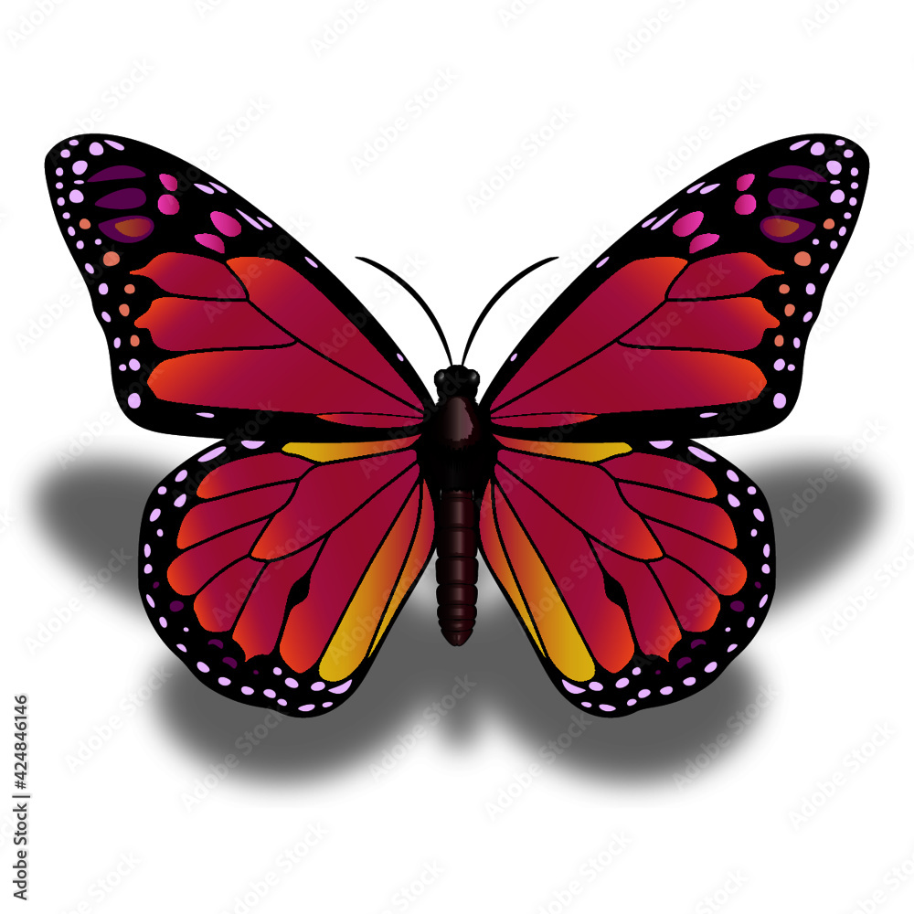 Mariposa de color hermosa de primavera Stock Vector | Adobe Stock, image size:1000x1000