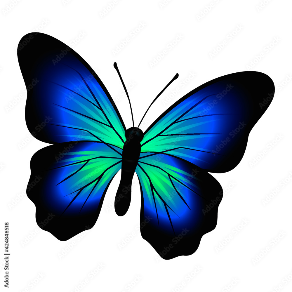 Mariposa de color hermosa de primavera Stock Vector | Adobe Stock, image size:1000x1000