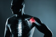 © hamara - Human shoulder joint in x-ray on gray background