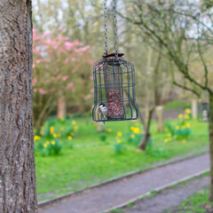 feeder in the park