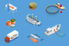 Isometric Fish Industry Seafood Concept. Commercial Fishing. Sea Fishing, Ship Marine Industry, Fish Boat.