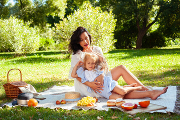 Wall Mural - young pretty pregnant brunette woman having fun with her daughter on picnic on green grass in park, lifestyle people concept