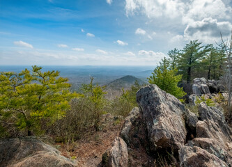 Wall Mural - The Pinnacle Trail, Crowder's Mountain, North Carolina