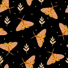 Seamless Pattern With Butterflies On Black Background. Hand Drawn Vector Illustration. Texture For Print, Textile, Packaging.