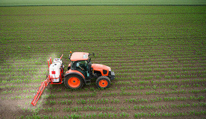 Wall Mural - Tractor spraying corn field