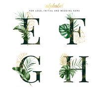 Watercolor Alphabet Set Of E, F, G, H With Green Gold Tropical Leaves . For Logo, Cards, Branding, Etc