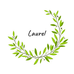  Laurel wreath. Vector design elementse. Illustration for greeting card, packaging.