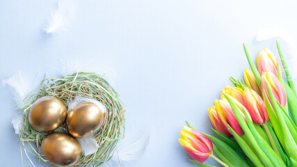 Wall Mural - Easter eggs gold. Golden colour egg in basket with spring tulips, white feathers on pastel blue background in Happy Easter decoration. Congratulatory easter design. Flat lay, top view.