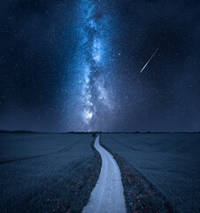 Wall Mural - milky way over country road in countryside. nature in poland