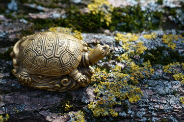 Wall Mural - A turtle figurine on a tree trunk. The symbol of Feng Shui.