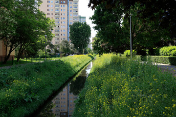 Wall Mural - A narrow canal in a housing estate