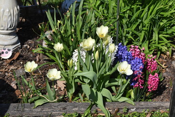 Canvas Print - Flower Garden