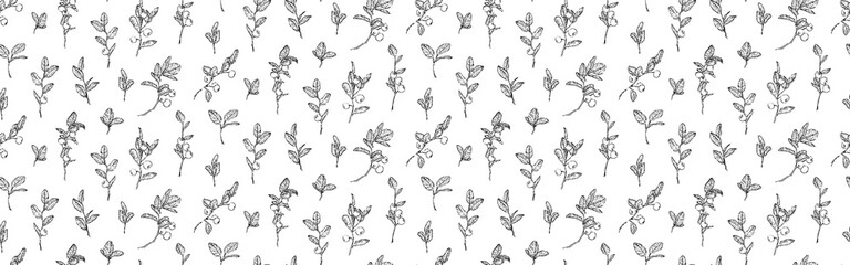 Wall Mural - Hand drawn blueberry branches with leaves and berries seamless pattern. Sketch style endless backdrop. Botanical vector illustration