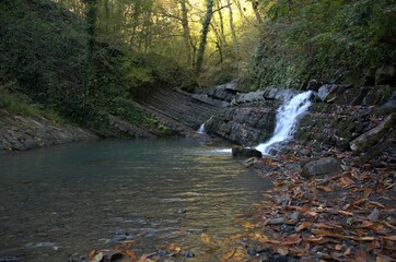 waterfall in the forest