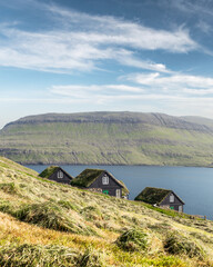 Wall Mural - picturesque view of tradicional faroese grass-covered houses