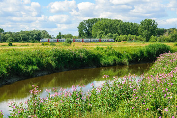 green landscape view with riding train