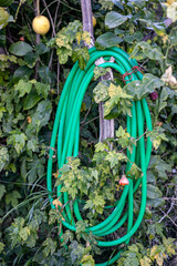 Canvas Print - water hose folded in the garden