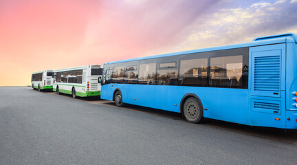 Canvas Print - Buses in a row against the background of sky at sunrise