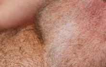 Close-up Of A Man's Hairy
