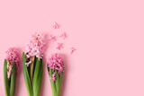 Beautiful blooming hyacinth plants on color background