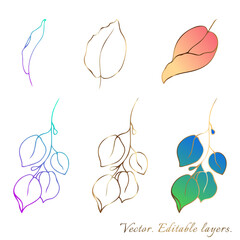 Plants line gold vectors. Set of collection of botanical design elements of twigs and leaves. Gradient modern fill elements. Perfect for logos, brands, invitations and cards and so on.