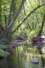  River Hueznar flowing in the woods of Seville. Spain