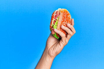 Wall Mural - Hand of hispanic man holding hot dog over isolated blue background.