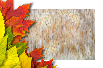 Wall Mural - autumn leaves.