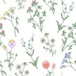 Wildflowers on a white background. Seamless vector pattern for fabric, wallpaper, packaging, and paper.