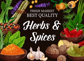 Canvas Print - Spices and herbs, seasoning condiments and flavorings for food cooking, vector. Organic herbs, spices and herbal seasonings rosemary leaf, basil, thyme and parsley, oregano with cinnamon and garlic