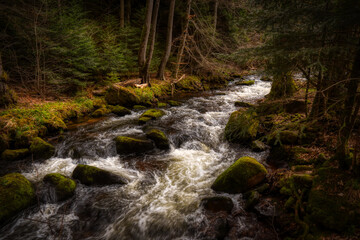  waterfall in the forest