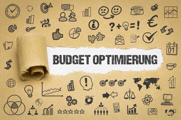 Poster - Budget Optimierung