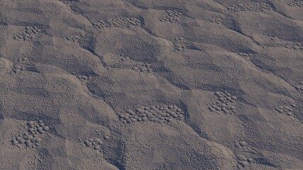 Poster - The texture of a gray stone with circular growths on it. The background. Desktop wallpaper.  3d graphic illustration.