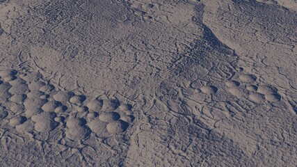 Poster - The texture of a gray stone with circular growths on it. The background. Desktop wallpaper.  3d graphic illustration.