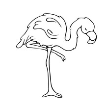 Flamingos. Doodle. Contour Bird. Sleepy Flamingo