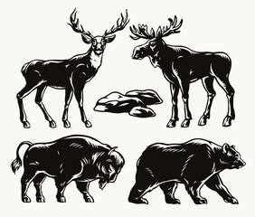 Wall Mural - animals vintage monochrome composition