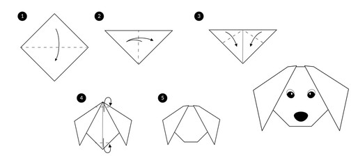 Poster -  Instructions how to make origami dog head. Black line monochrome step by step illustration isolated on white.